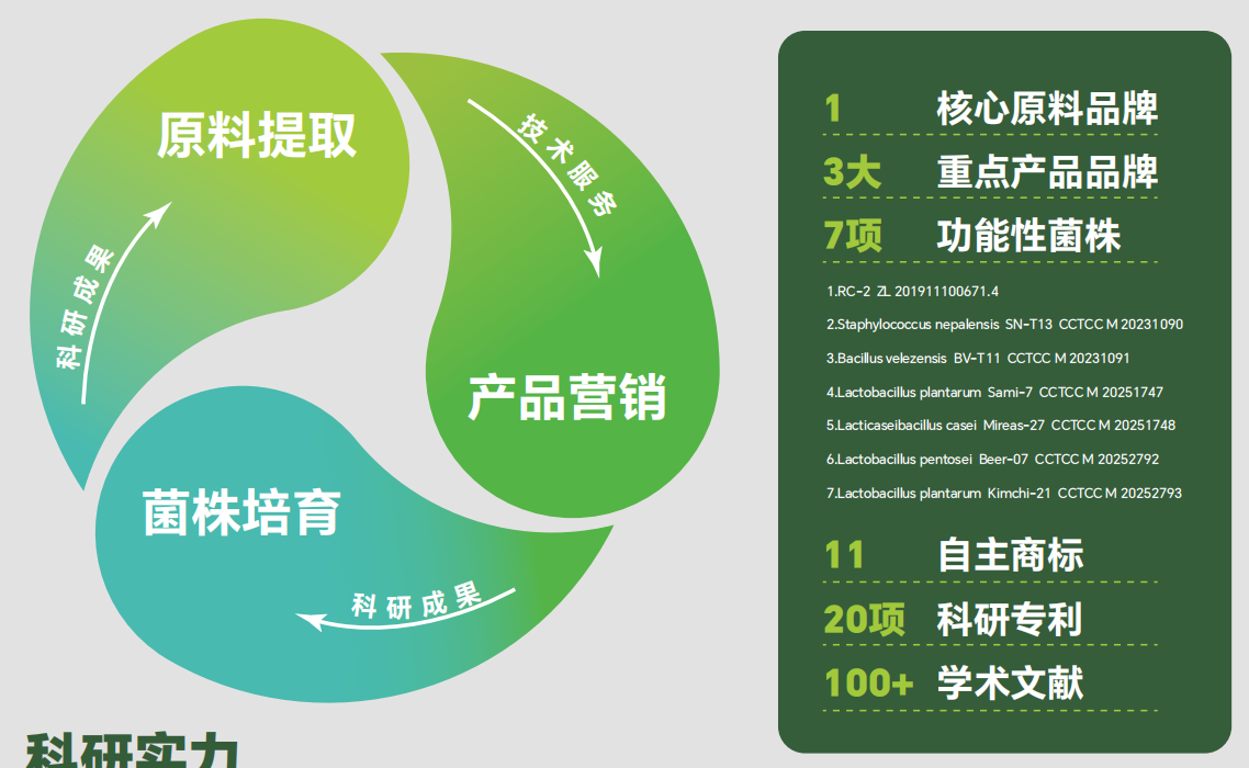三大业务板块1